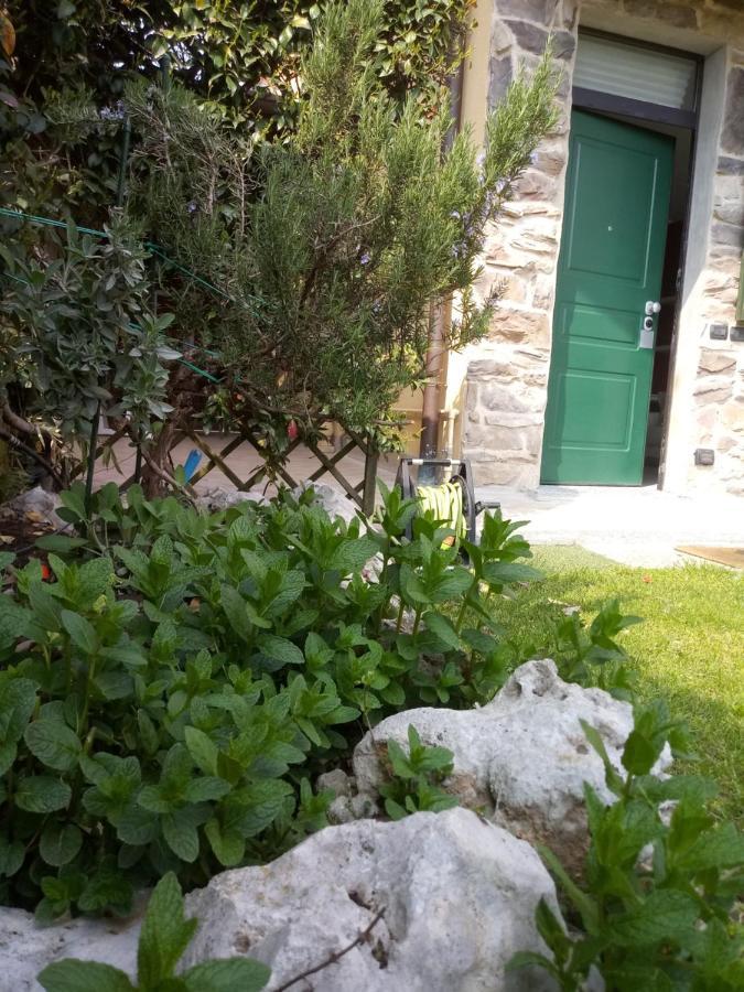 B&B Malpensa Ticino Valley Vizzola Ticino Εξωτερικό φωτογραφία
